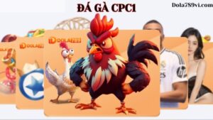 Đôi nét về cá cược đá gà CPC1