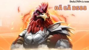 Đá gà DS88 cung cấp kèo xanh chín và chất lượng
