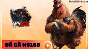 Đá gà WS168 uy tín và nổi tiếng nhất nhà cái