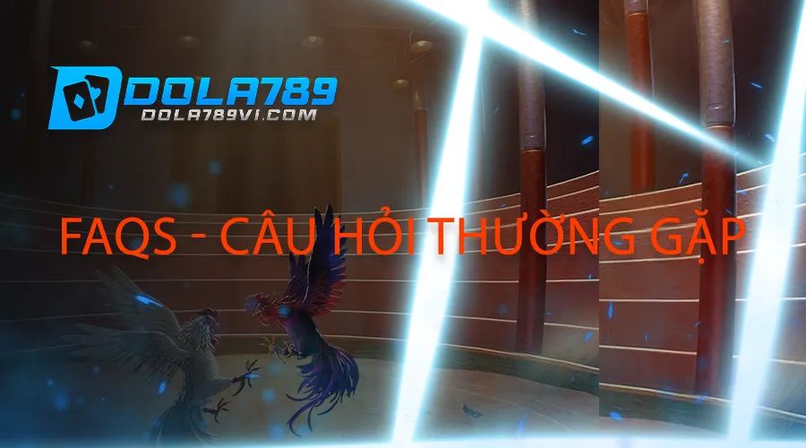 Câu hỏi thường gặp về Dola789