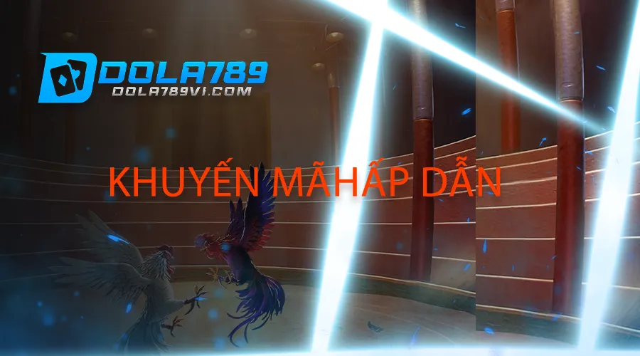 Dola789 có nhiều khuyến mãi hấp dẫn
